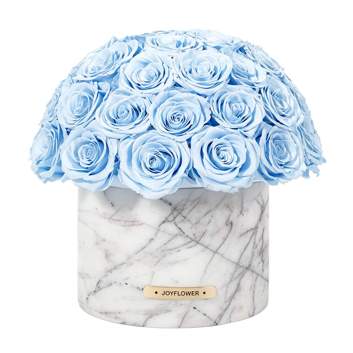 JoyFlower HDS & XXM Preserved Flowers Vase