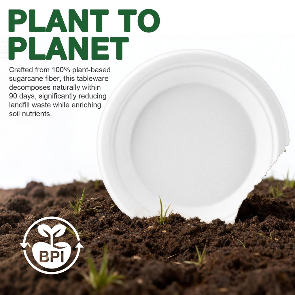 Biaredy Disposable Paper Plates Compostable