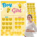 Gender reveal decorations